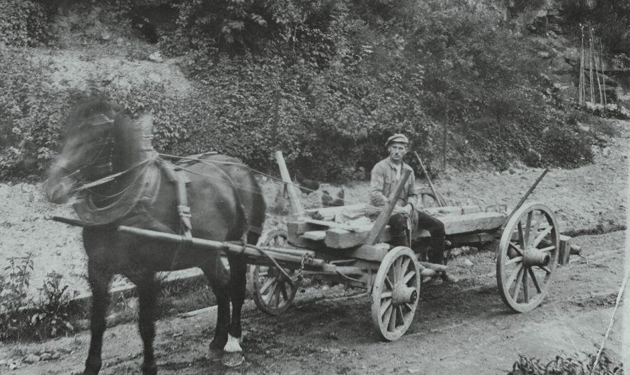 Französiche Begriffe aus meiner Jugend Von Rita Guthsmuts